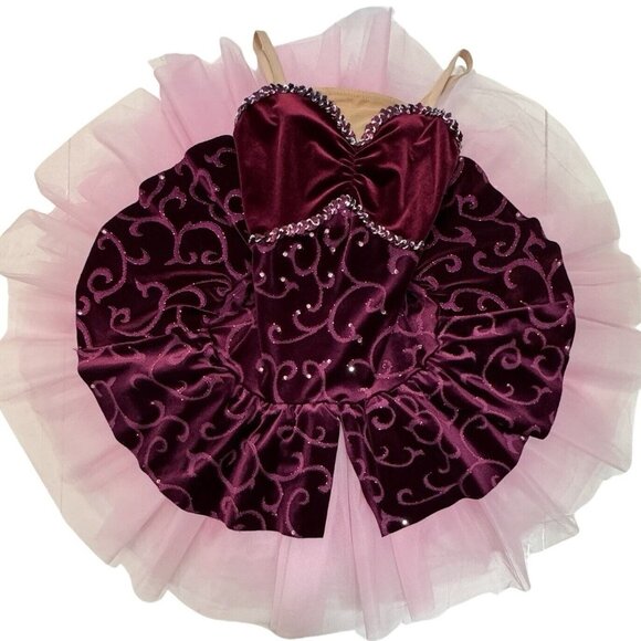 Ballet Dance Dress Costume‎ Girls 6/8 Yrs Burgundy Velvet Rhinestone Swirls Tutu - Picture 9 of 14